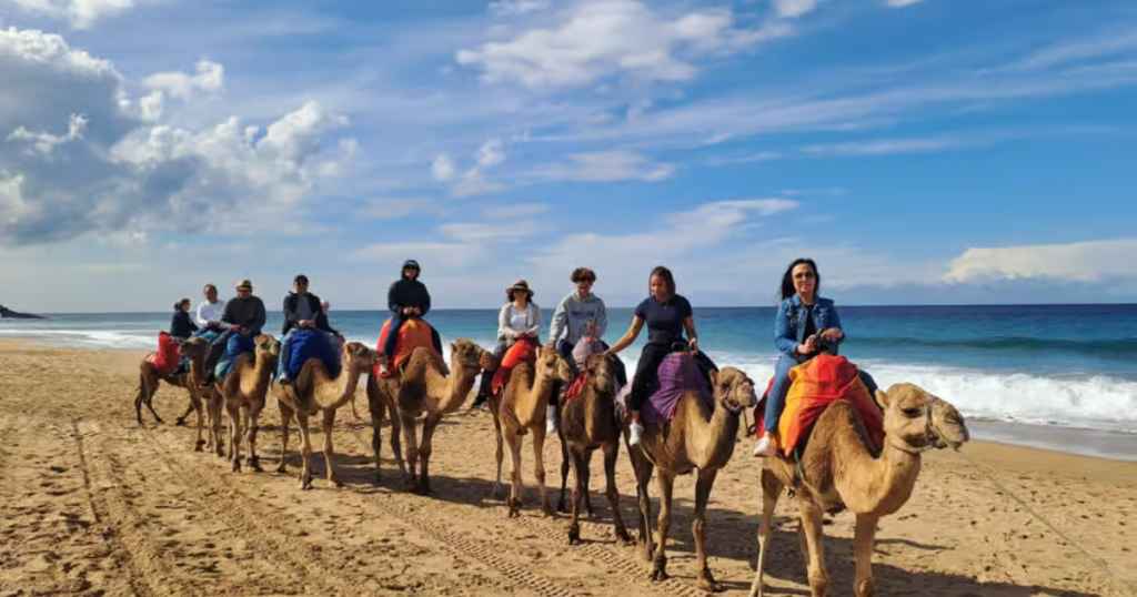 Morocco Travel Guide