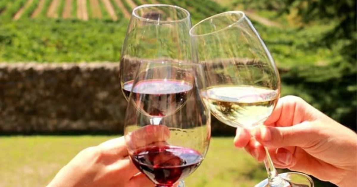 Winelands Tour