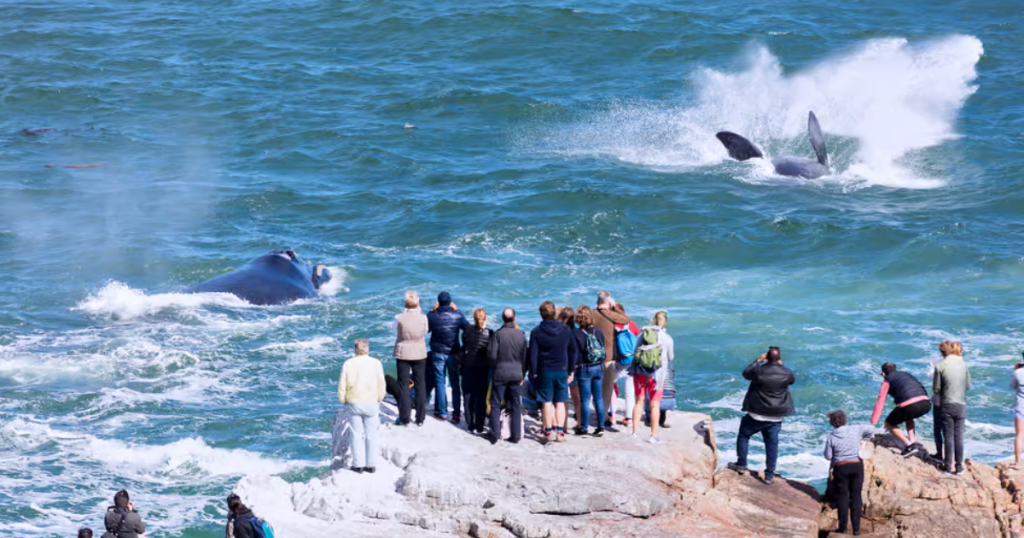 Coastal Tours in South Africa