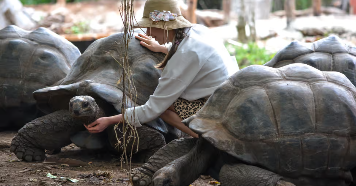 Things To Do In Tanzania