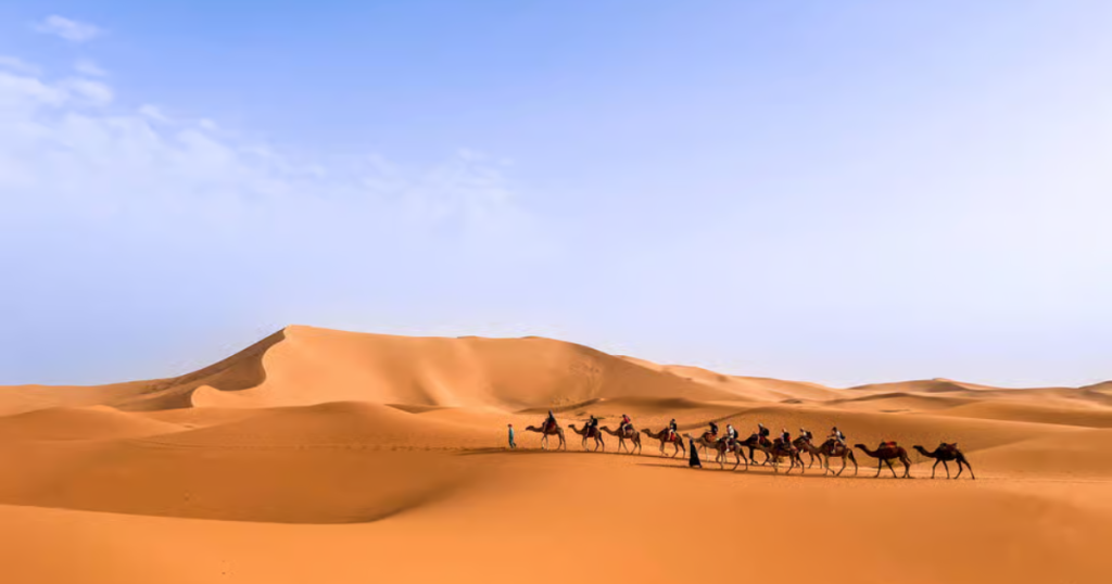 unforgettable desert adventure.